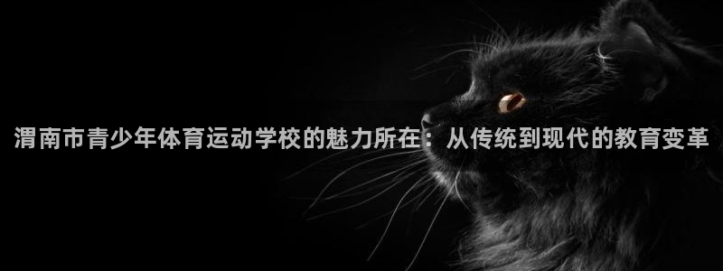 J9官网下载是干嘛的公司：渭南市青少年体育运动学校的
