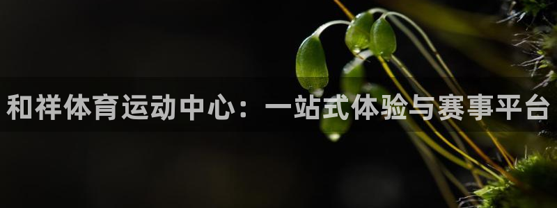 J9官网下载联系电话：和祥体育运动中心：一站式体验与
