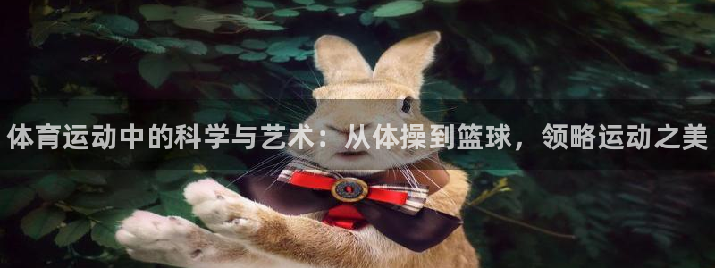 J9官网下载招商电话地址查询：体育运动中的科学与艺术
