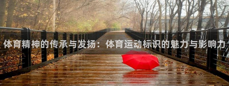 J9官网下载招商电话地址：体育精神的传承与发扬：体育