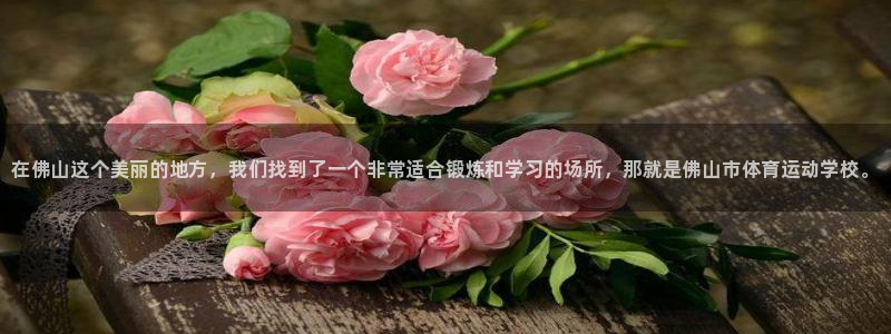 J9官方正版app娱乐平台：在佛山这个美丽的地方，我