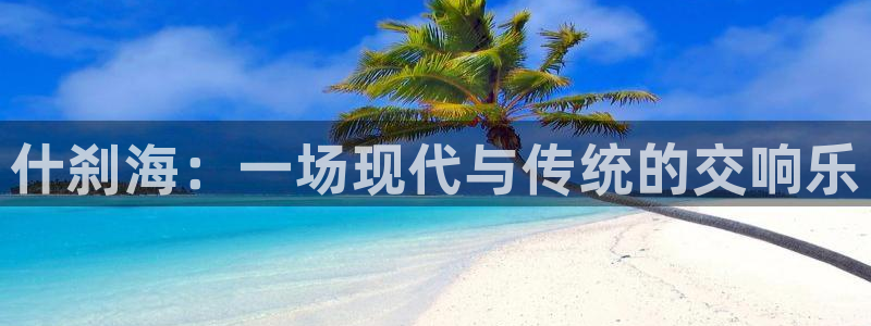 J9官方正版app集团logo：什刹海：一场现代与传