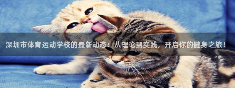 J9官方正版app集团E.ON：深圳市体育运动学校的