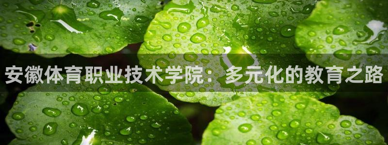 J9官方正版app官网：安徽体育职业技术学院：多元化