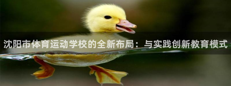 J9官方正版app官方：沈阳市体育运动学校的全新布局