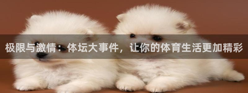 J9官方正版app官方：极限与激情：体坛大事件，让你