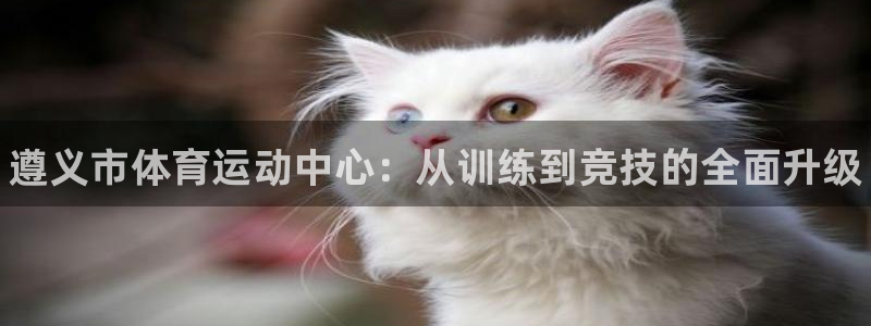 J9官方正版app神州：遵义市体育运动中心：从训练到