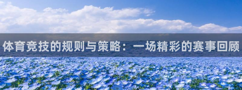 J9官方正版app娱乐平台：体育竞技的规则与策略：一场精彩的