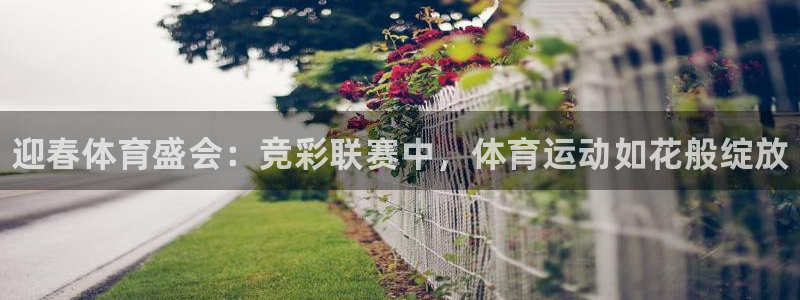 J9官方正版app集团官网网址：迎春体育盛会：竞彩联赛中，体