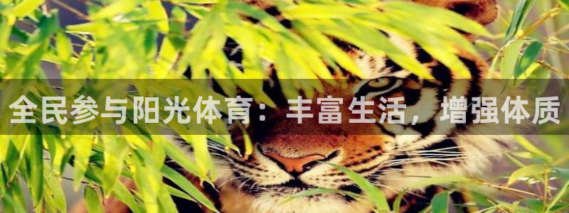 J9官方正版app娱乐代理怎么样：全民参与阳光体育：丰富生活