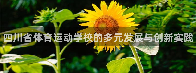 J9官方平台体育：四川省体育运动学校的多元发展与创新