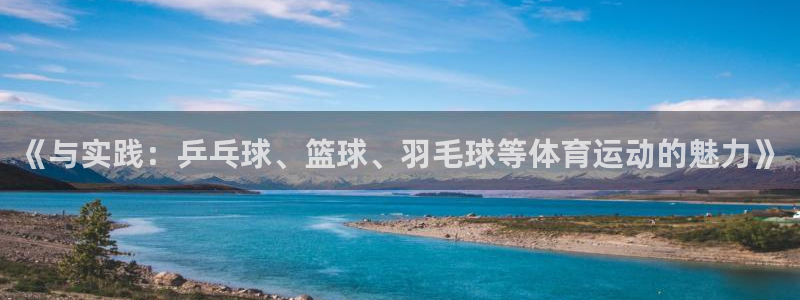 J9官网下载注册：《与实践：乒乓球、篮球、羽毛球等体