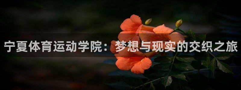 J9官网下载注册：宁夏体育运动学院：梦想与现实的交织之旅