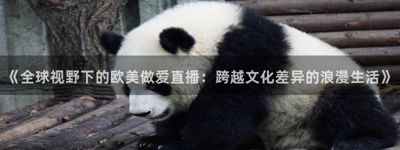 nba直播免费高清直播24直播网：《全球视野下的欧美做爱直播：跨越文化差异的浪漫生活》