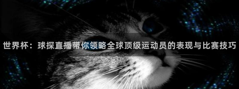 nba直播在线直播24直播：世界杯：球探直播带你领略全球顶级运动员的表现与比赛技巧