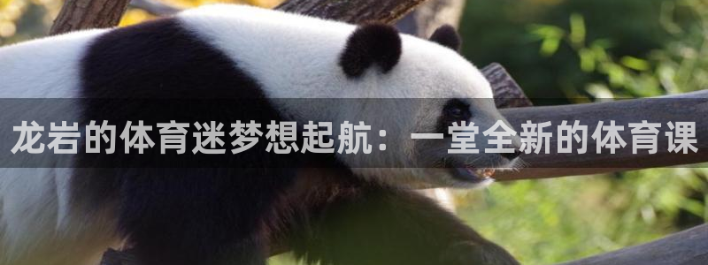 J9官网下载开户