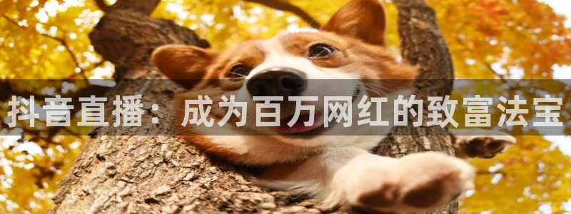 24直播网体育新年放送7zg.立即打开.org