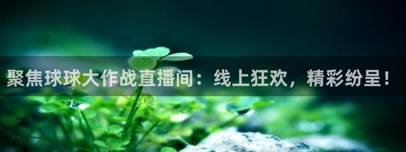 24直播足球在线直播：聚焦球球大作战直播间：线上狂欢，精彩纷呈！