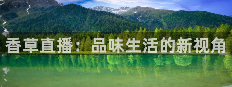 乐球直播24直播网：香草直播：品味生活的新视角