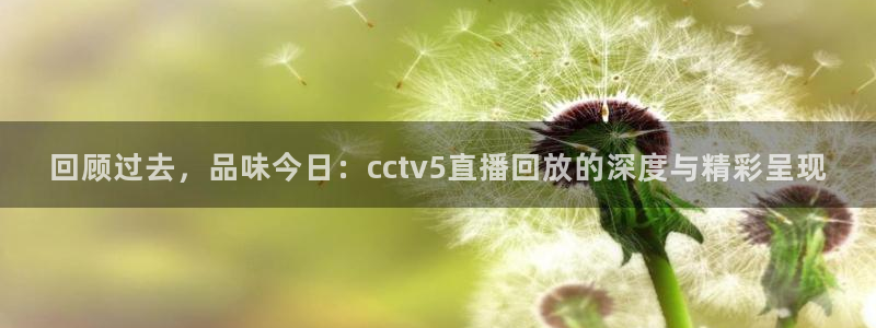 24直播网篮球免费直播：回顾过去，品味今日：cctv5直播回放的深度与精彩呈现