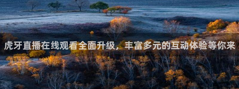 足球24直播免费观看