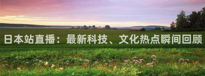 24直播网体育在线观看