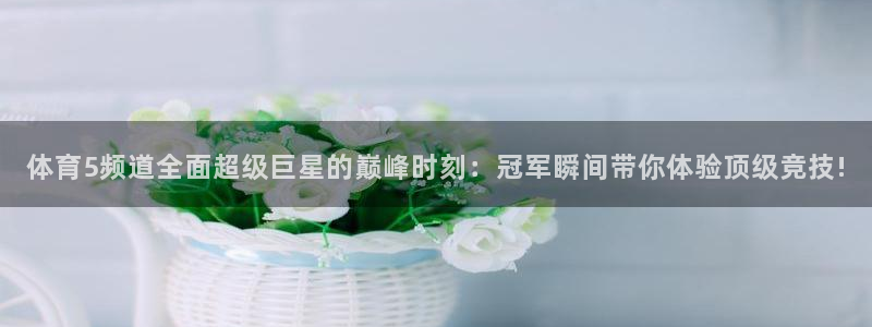 24直播免费篮球直播