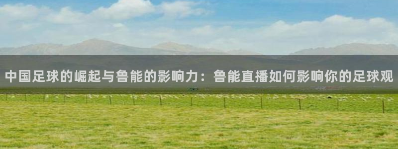 nba直播在线观看24直播网：中国足球的崛起与鲁能的影响力：鲁能直播如何影响你的足球观