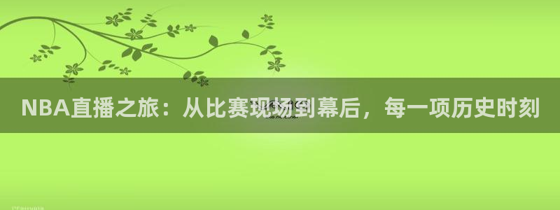 24直播网体育在线直播女排联赛：NBA直播之旅：从比赛现场到幕后，每一项历史时刻
